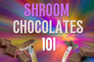 shroom chocolates 101