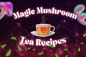 magic mushroom tea recipes