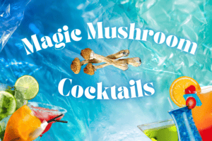 magic mushroom cocktails